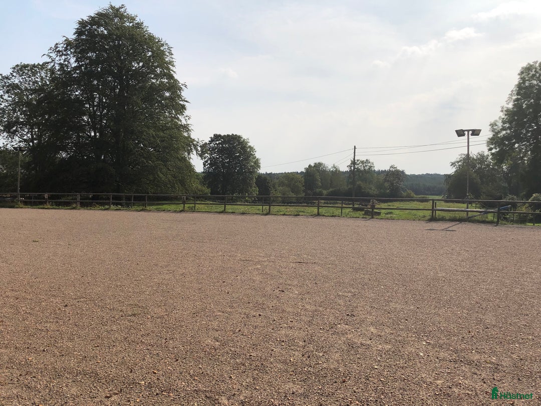  stallplats finnes: Stallplatser utanför Hässleholm! i Hörja - Annons 5