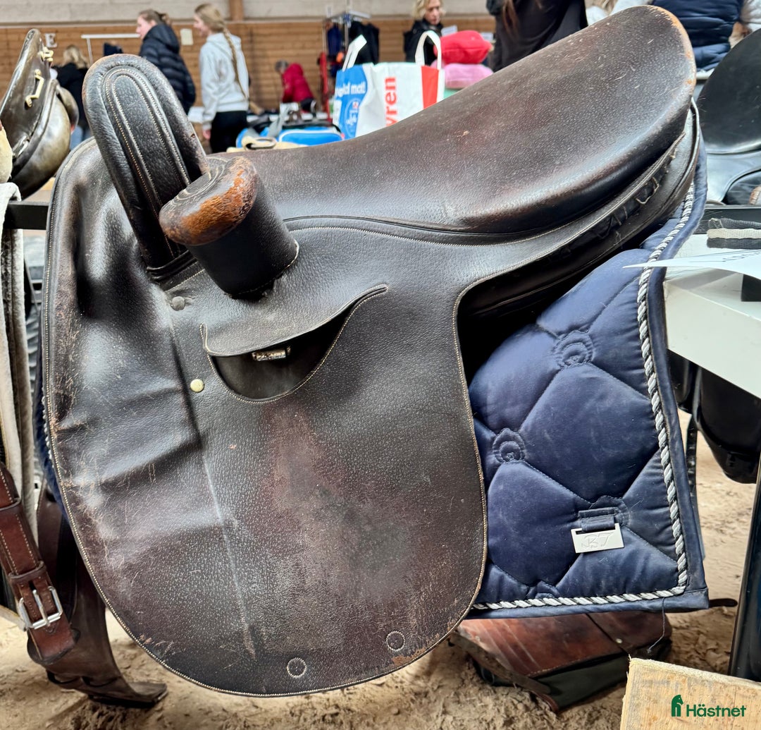 Sadlar hästutrustning till salu: Damsadel  i Stockholm - Annons 1