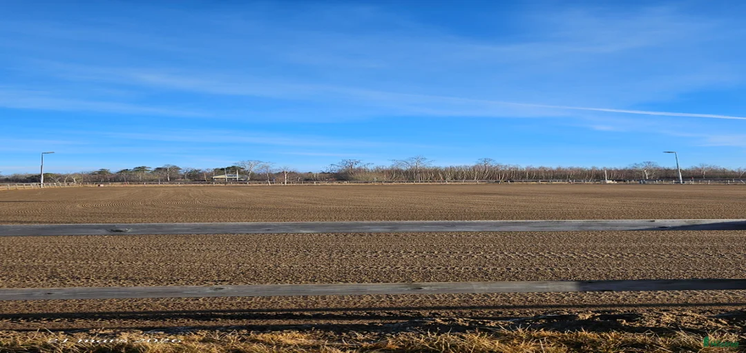 Galleribild {{count}}