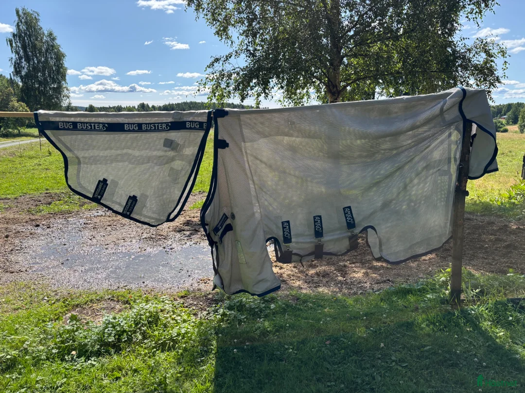 Täcken hästutrustning till salu: Flugtäcke - Annons 2