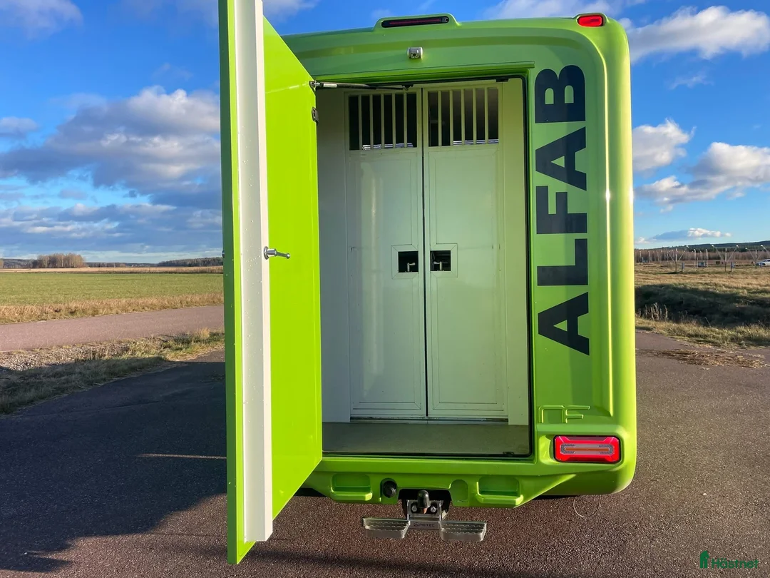 Hästlastbilar  fordon & transport till salu: Alfab 5 sits Stuteri 2022 Automat 7300mil - Annons 2