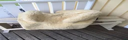 Sadeltillbehör hästutrustning till salu: Zalea (barock fårskinns säte) - Annons 1