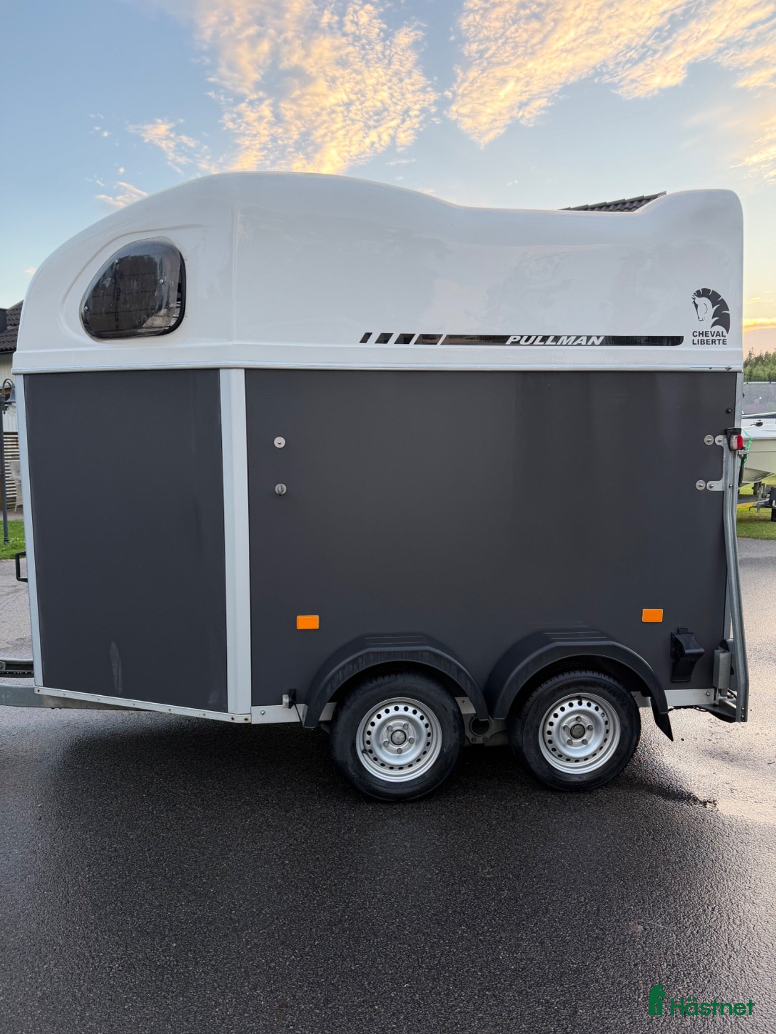 Hästtransporter  fordon & transport till salu: Hästtransport  - Annons 6
