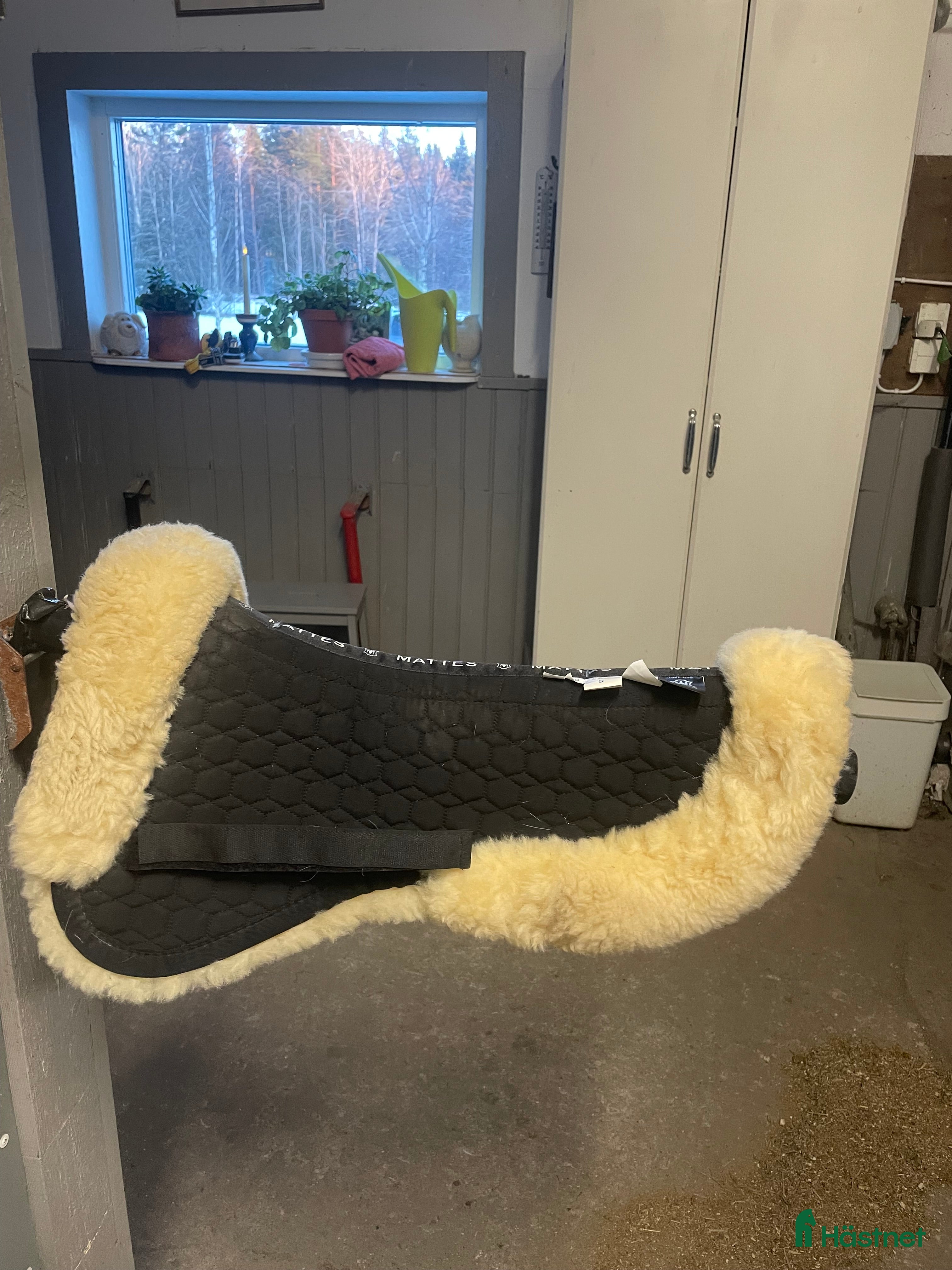 Sadeltillbehör hästutrustning till salu: Mattes padd - Annons 9