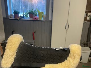 Sadeltillbehör hästutrustning till salu: Mattes padd - Annons 9