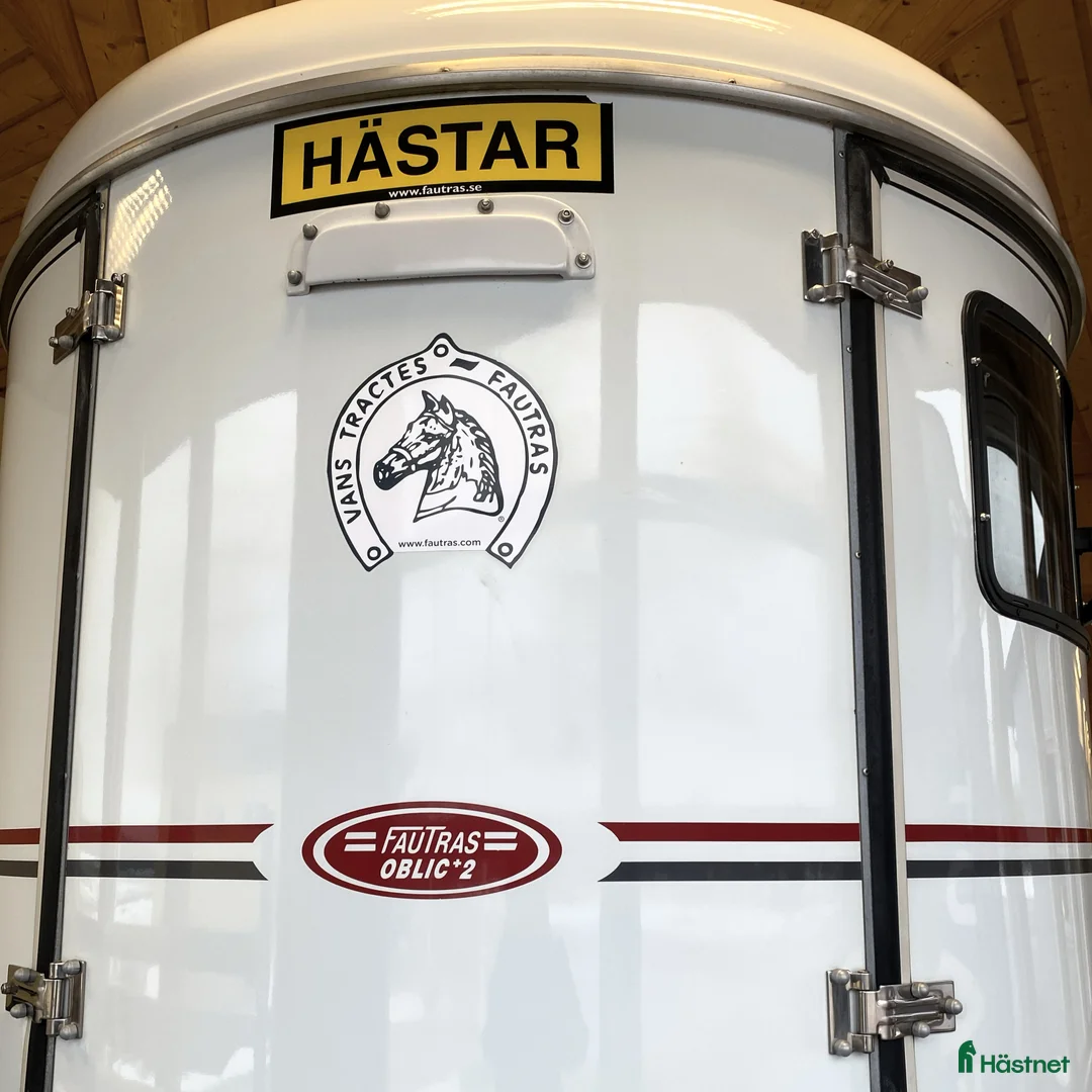 Hästtransporter  fordon & transport till salu: Fin Fautras Oblic+2 2021 m ramp o öppningsbar sida - Annons 15