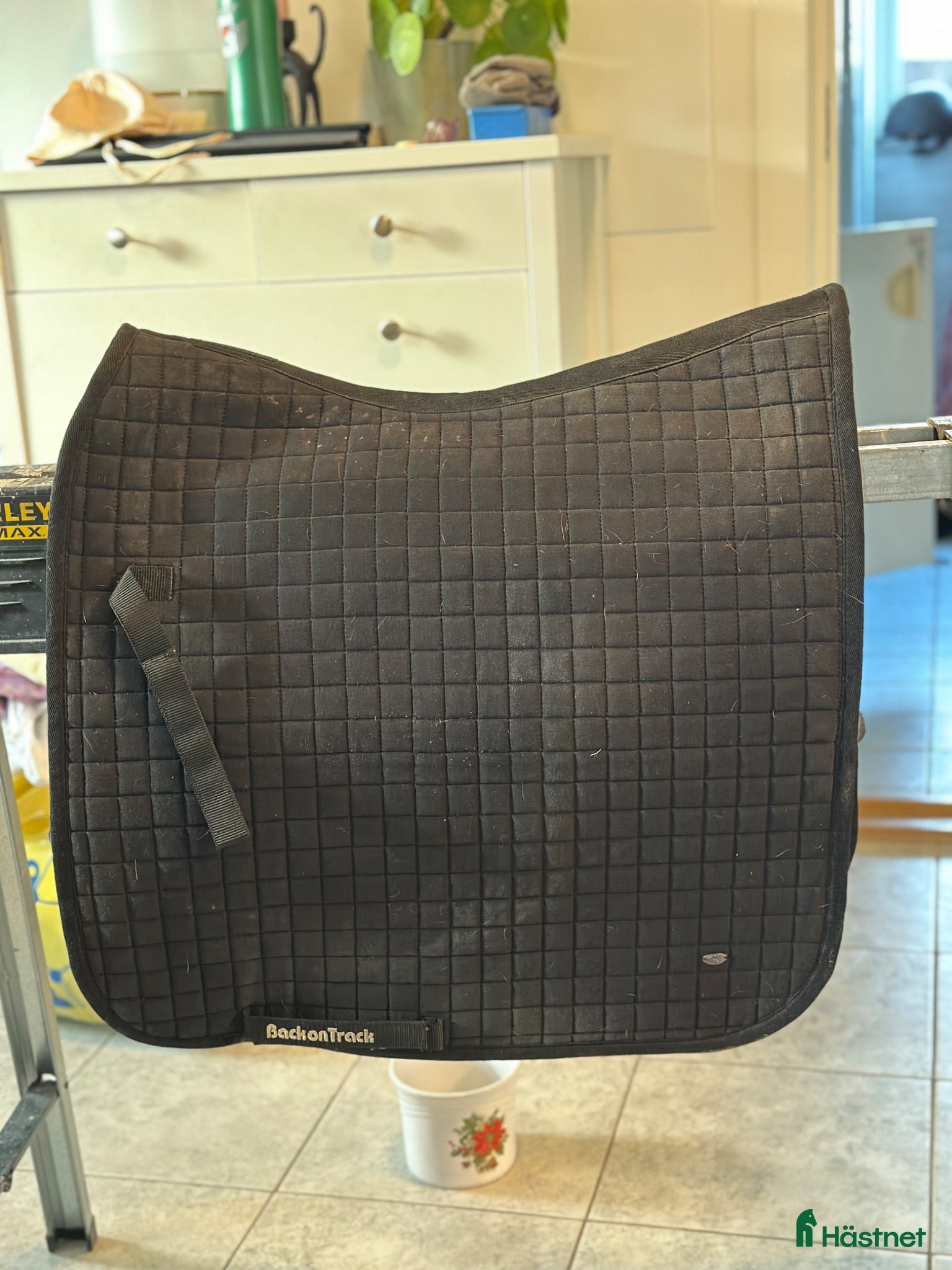 Schabrak & Vojlockar hästutrustning Back on track  - Annons 6