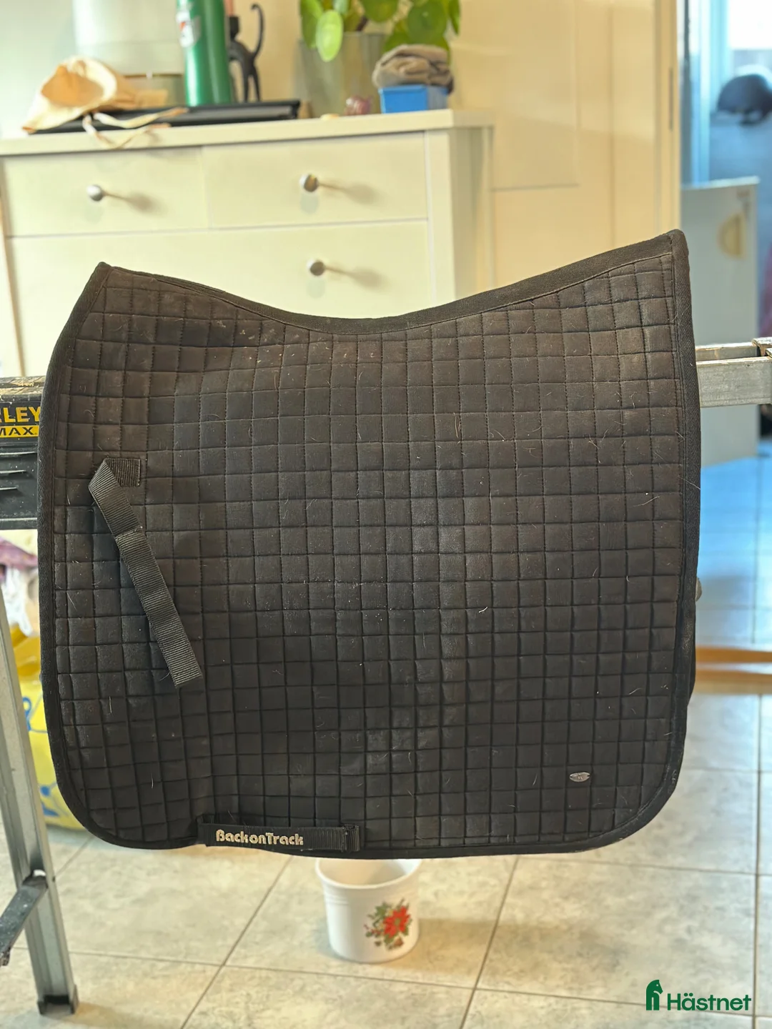 Schabrak & Vojlockar hästutrustning till salu: Back on track  - Annons 1