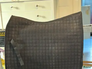 Schabrak & Vojlockar hästutrustning Back on track - Annons 7