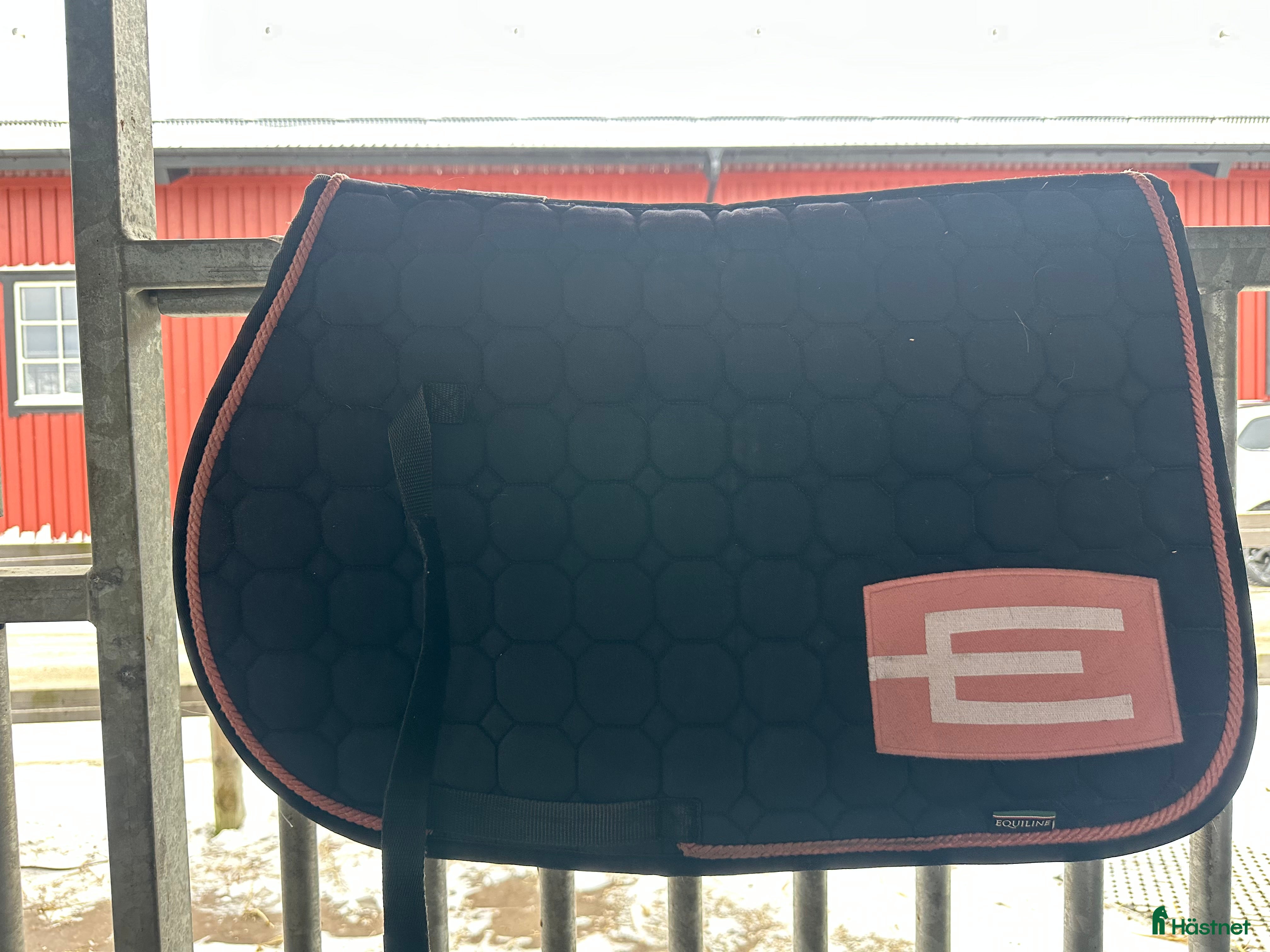 Schabrak & Vojlockar hästutrustning Equiline E-logga - Annons 1