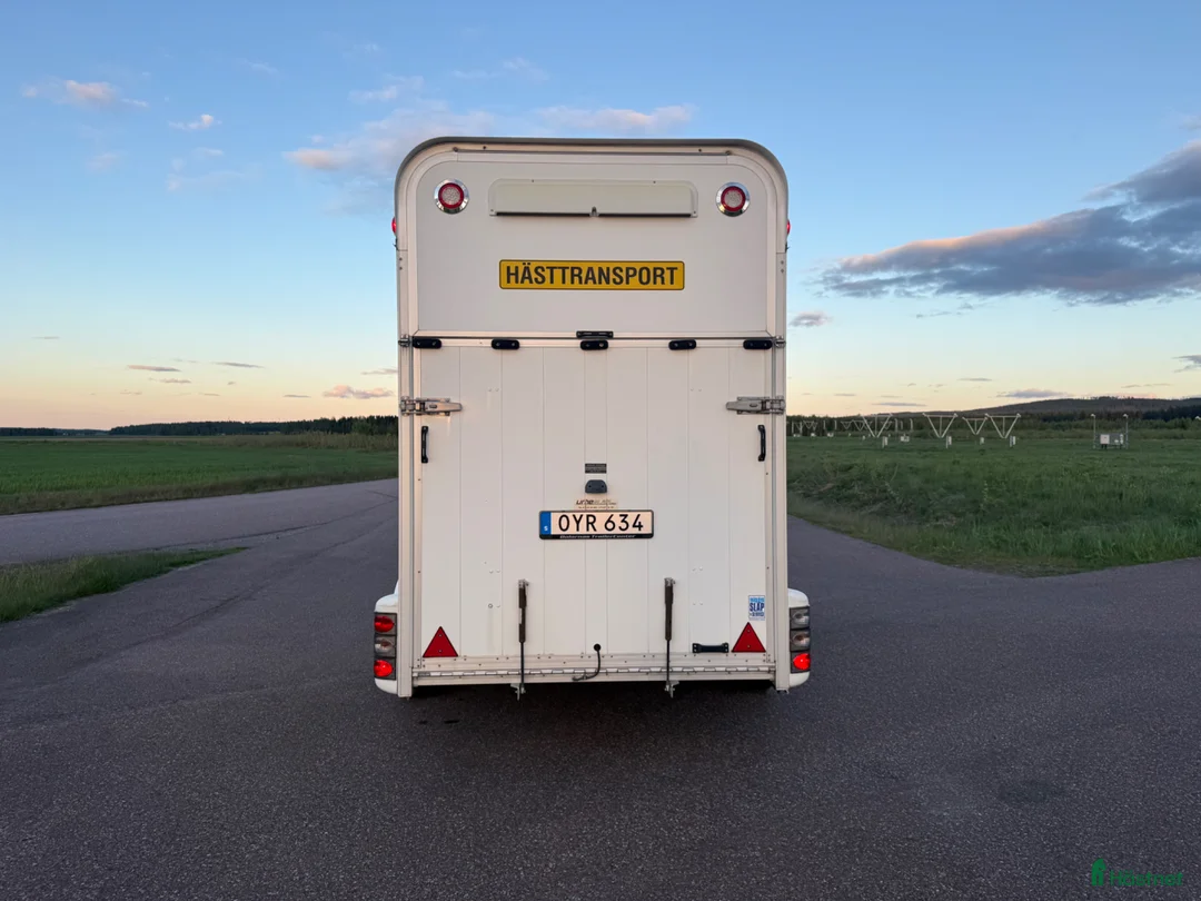 Hästtransporter  fordon & transport till salu: UME B50 -15 - Toppskick! - Annons 5