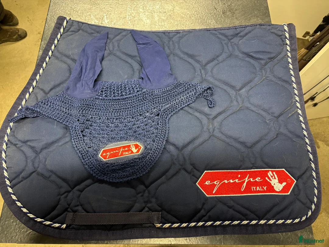 Schabrak & Vojlockar hästutrustning till salu: Stilrena och bekväma hästschabrak  - Annons 3