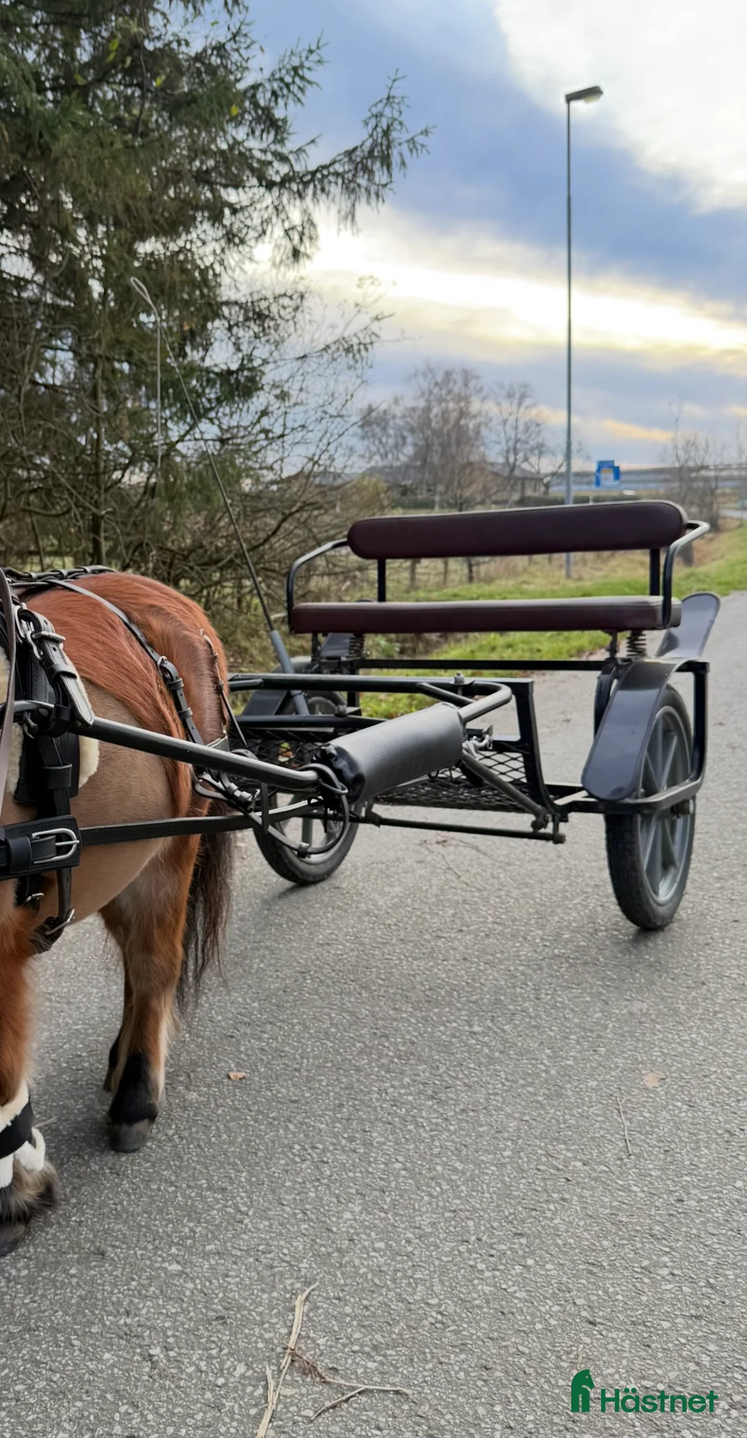 Körvagnar körning till salu: Rockard minishetland  - Annons 2