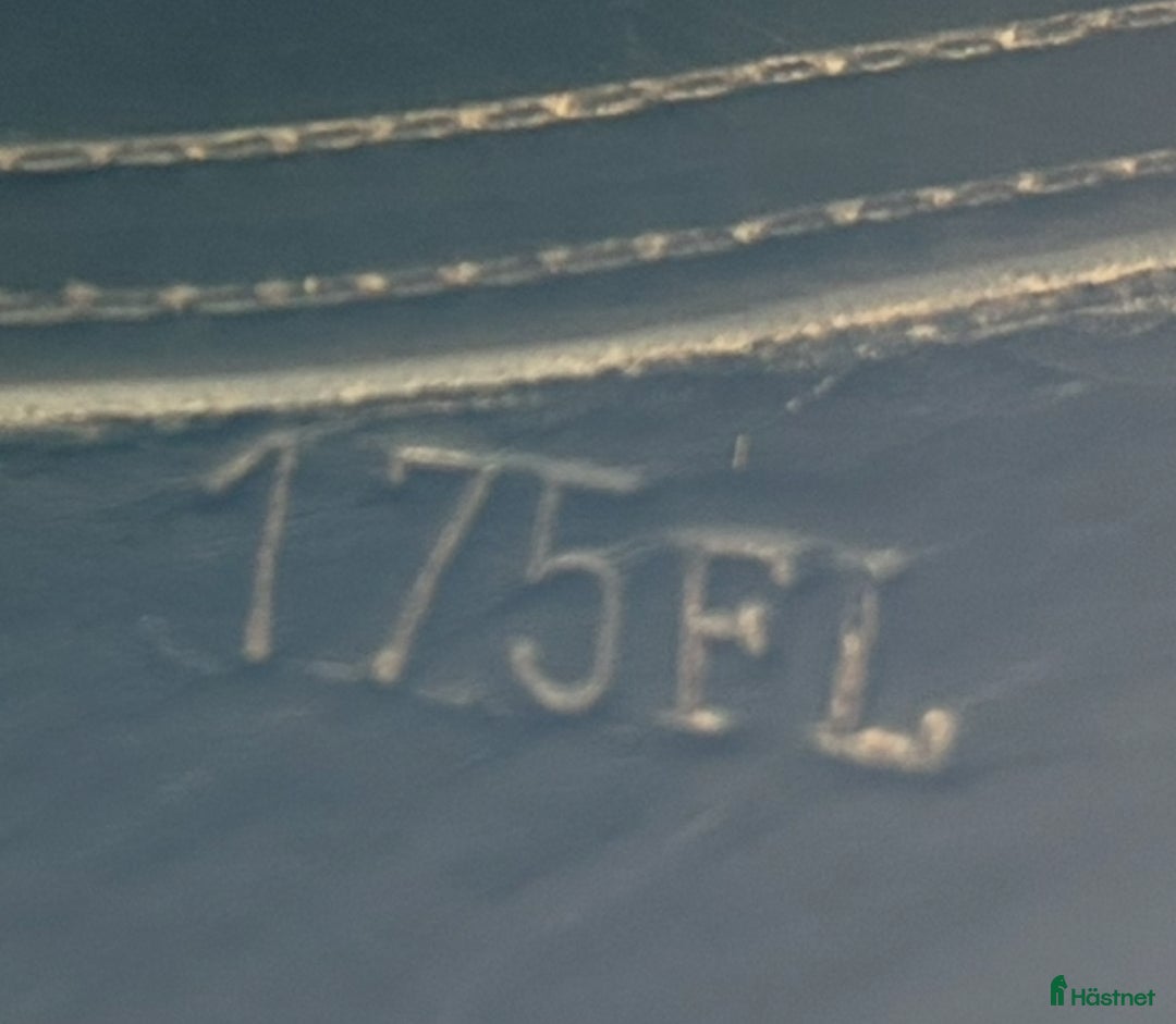 Sadlar hästutrustning till salu: Draupnir sadel  i Falun - Annons 2