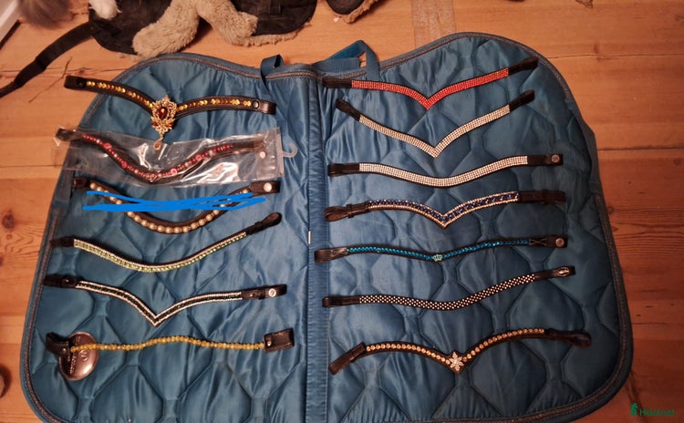 Träns hästutrustning till salu i Njurunda - Annons 20