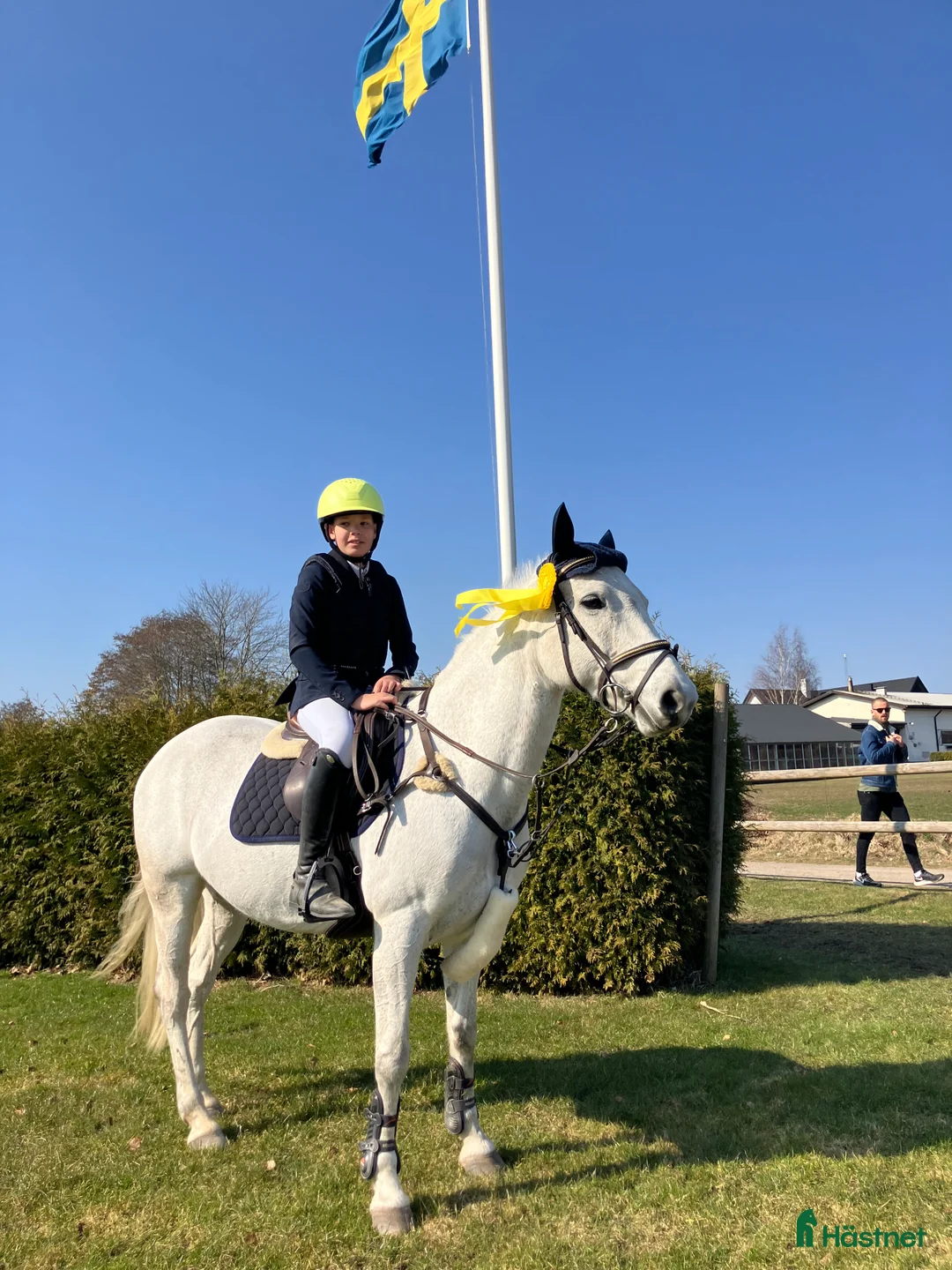 Hoppning hästar till salu: Hoppglad & tävlingsrutinerad ponny  i Hofterup - Annons 12