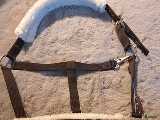 Övrig Hästutrustning hästutrustning till salu: Grimma + Grimskaft (Horse Unique) i Njurunda - Annons 14