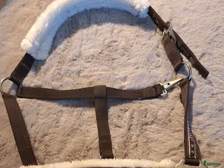 Övrig Hästutrustning hästutrustning Grimma + Grimskaft (Horse Unique) i Njurunda - Annons 9