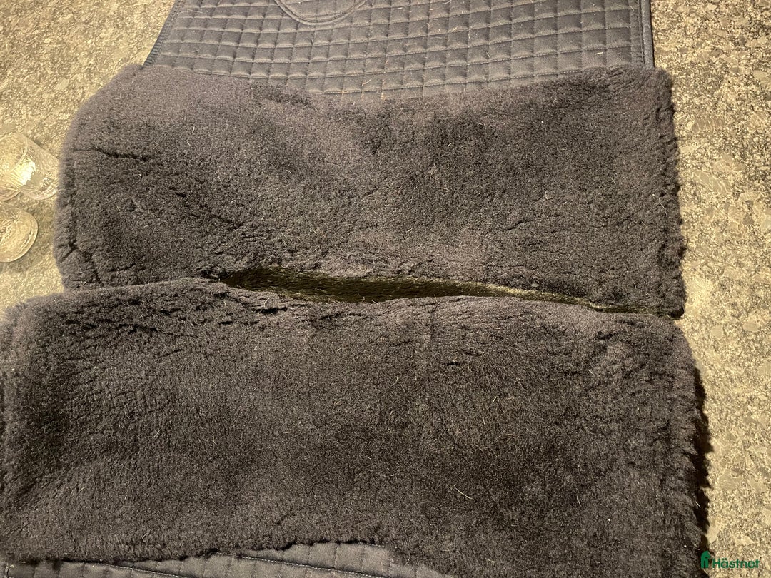 Schabrak & Vojlockar hästutrustning till salu: Kvalitetsschabrak från Lemieux till salu i Borås - Annons 5