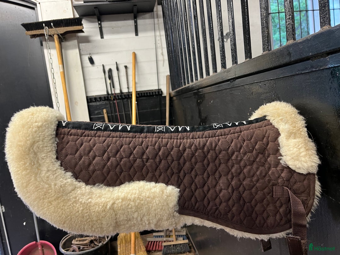 Sadeltillbehör hästutrustning till salu: Sadelpad strl Medium  i Nynäshamn - Annons 1