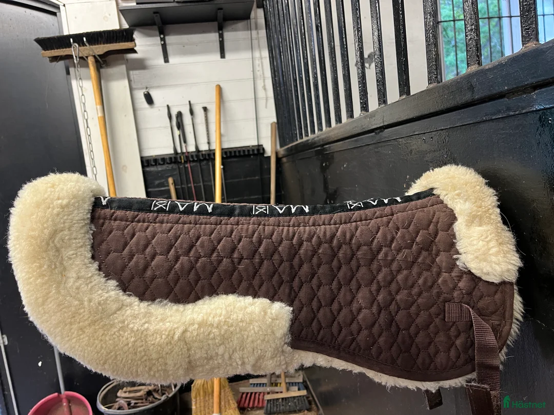 Sadeltillbehör hästutrustning till salu: Sadelpad strl Medium  i Nynäshamn - Annons 1