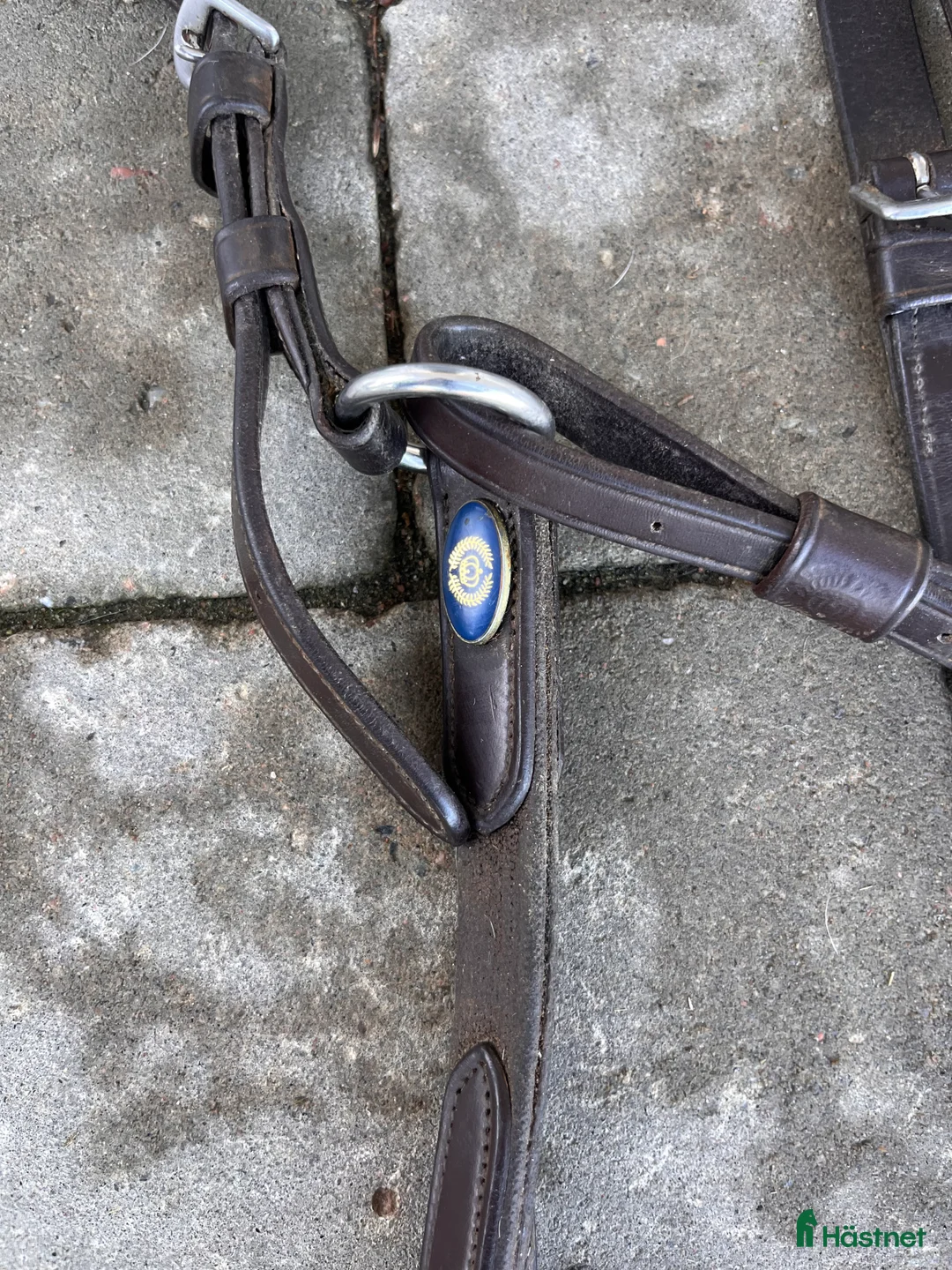 Träns hästutrustning till salu: Förbygel PS of Sweden - Annons 1