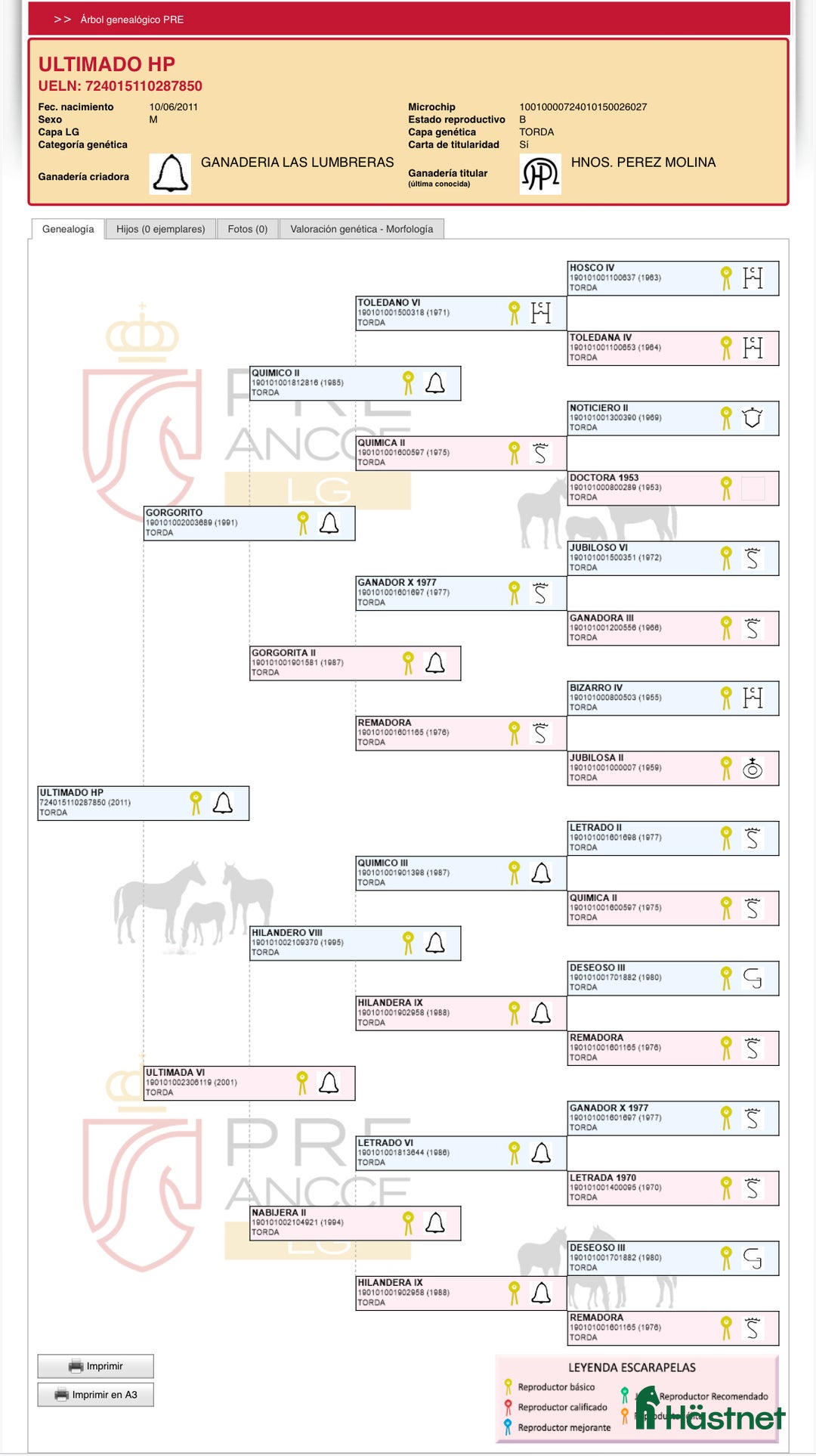 Avelshästar hästar till salu: PRE Avelshingst med dom äldsta blodslinjerna  i Hägersten - Annons 3