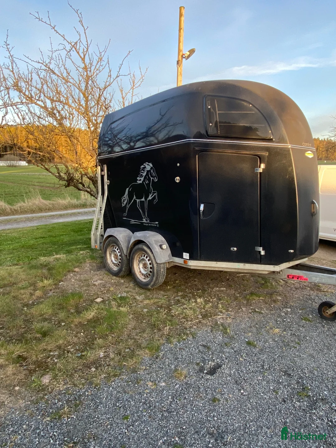 Hästtransporter  fordon & transport till salu: Böckmann Comfort - Annons 2