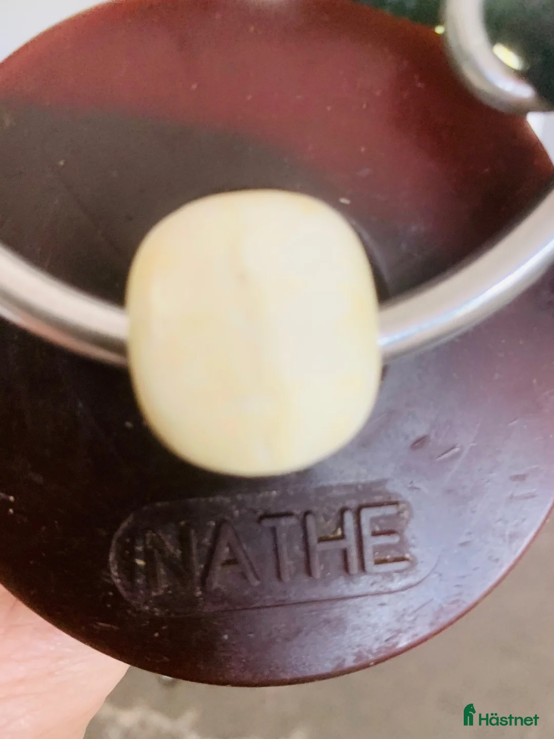 Bett hästutrustning till salu: Nathe - Annons 5