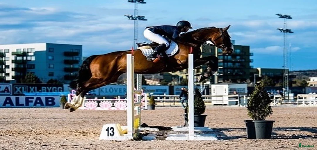 Galleribild {{count}}