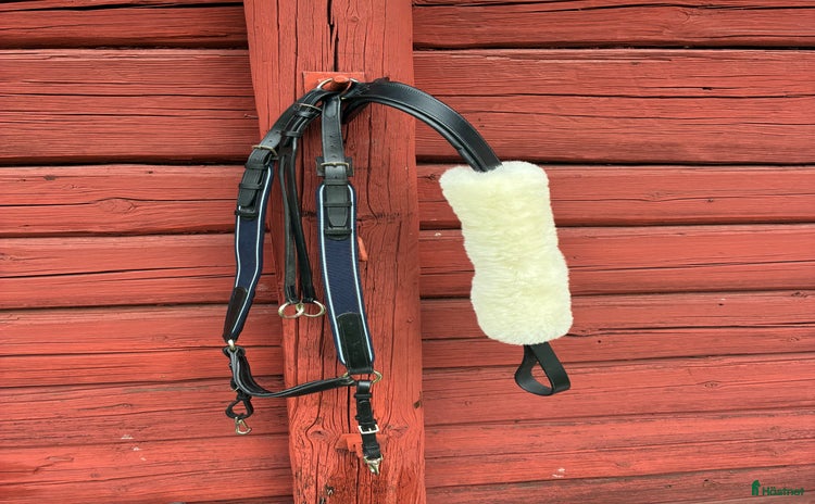 Övrig Hästutrustning hästutrustning till salu i Bjursås - Annons 12
