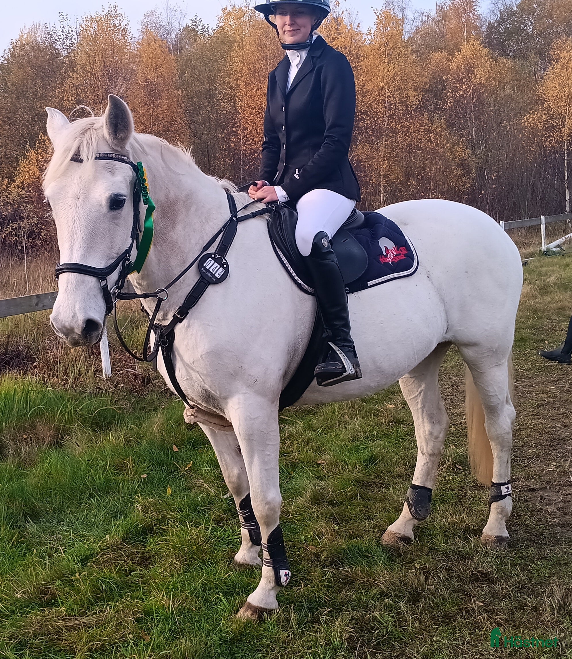  hästar Världens bästa barnponny i Tjörnarp - Annons 13