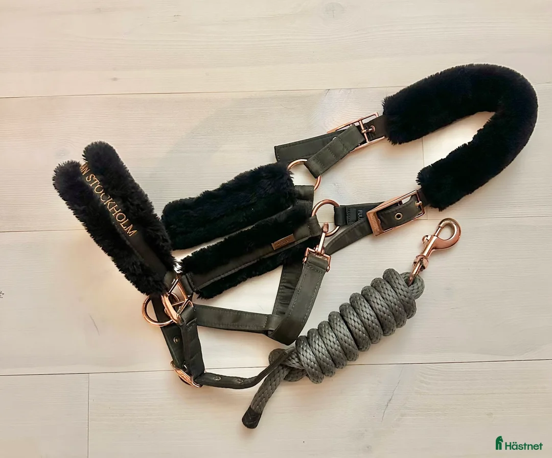 Övrig Hästutrustning hästutrustning till salu: Grimmor  - Annons 1