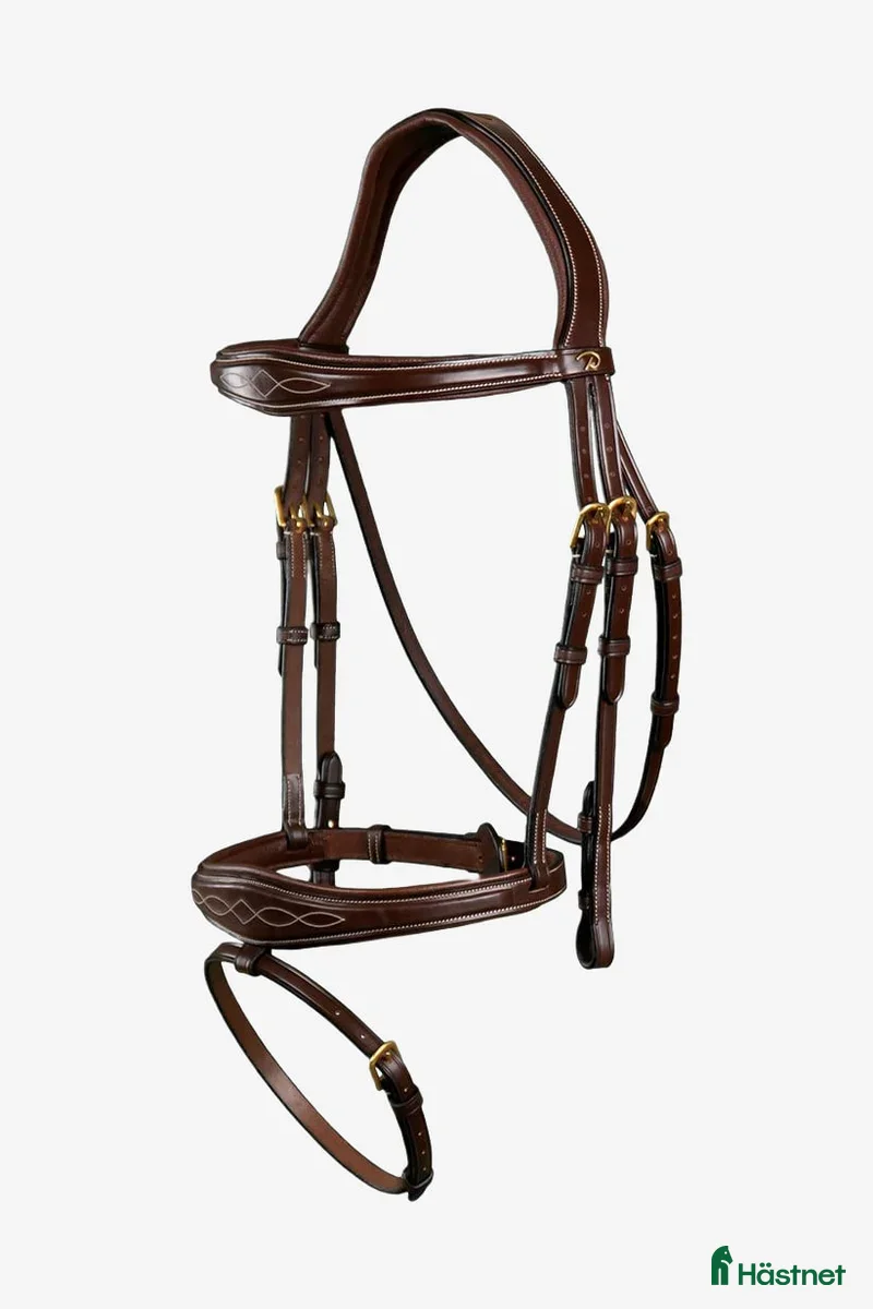 Träns hästutrustning till salu: HELT NYTT Dyón träns  i Lerum - Annons 16