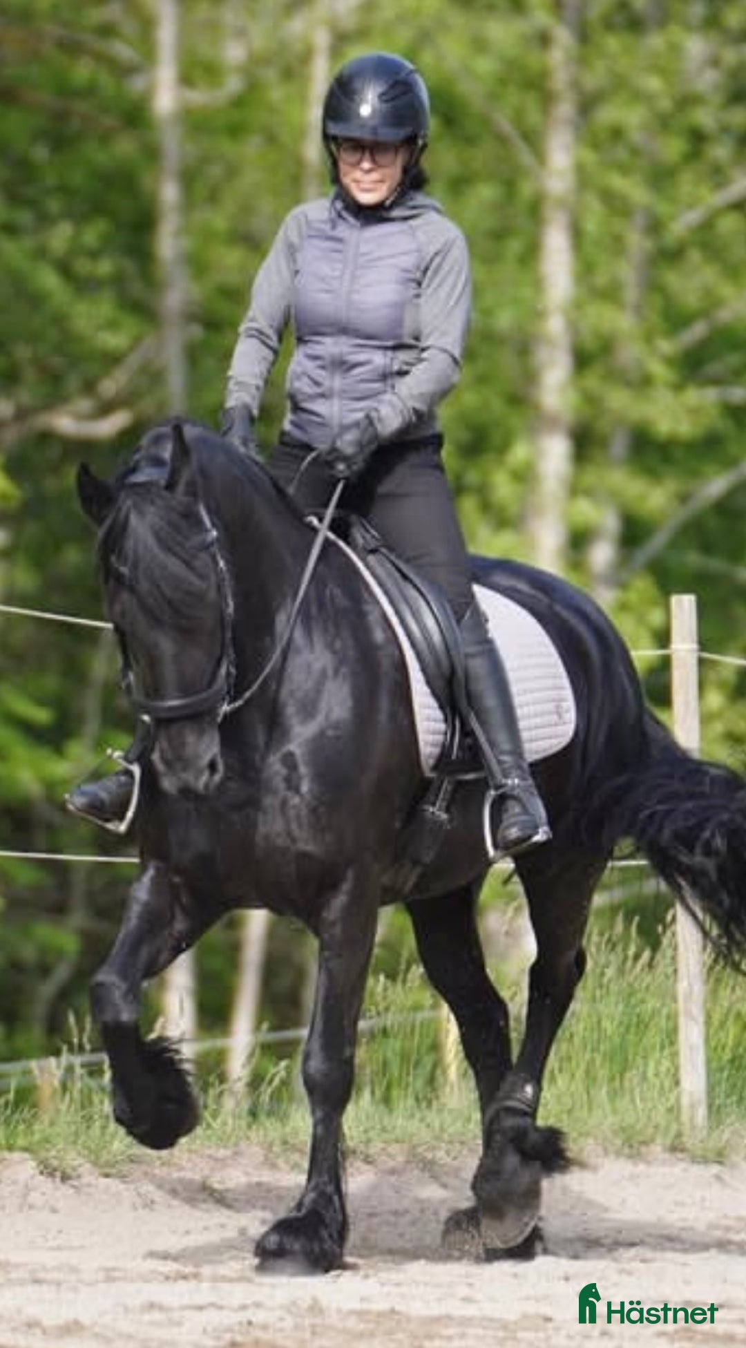 Dressyr hästar till salu: Vacker, vänlig och inkännande Frieser i Veddige - Annons 4