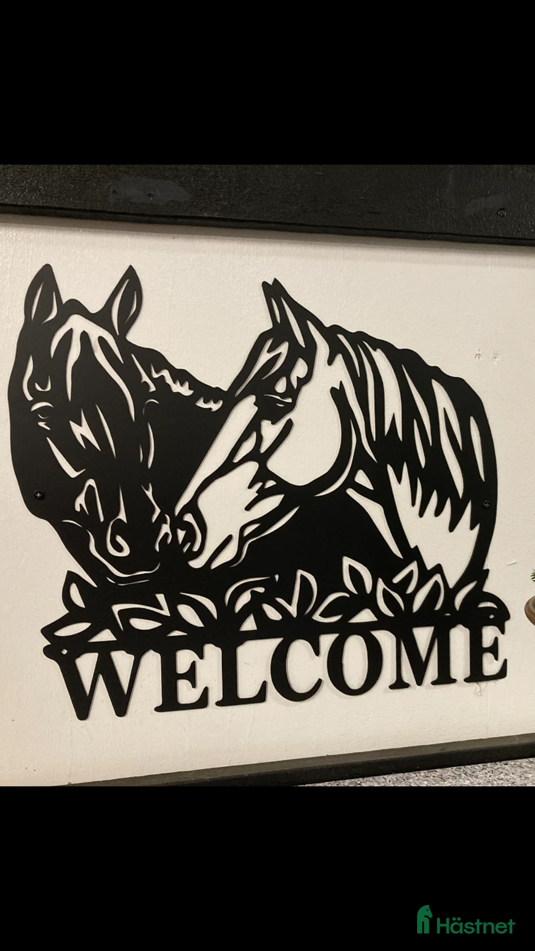  stallplats finnes: Lediga Stallplatser på Gudö  - Annons 11