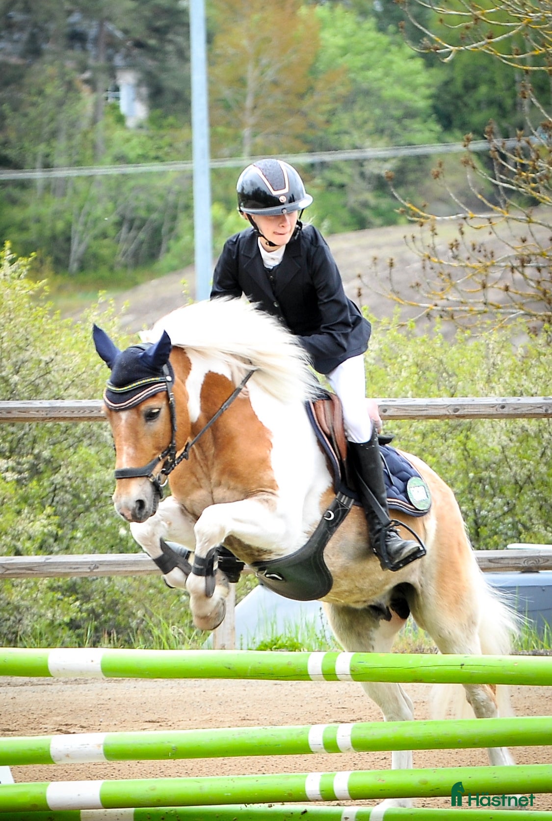  hästar Barnponny  i Gnesta - Annons 20