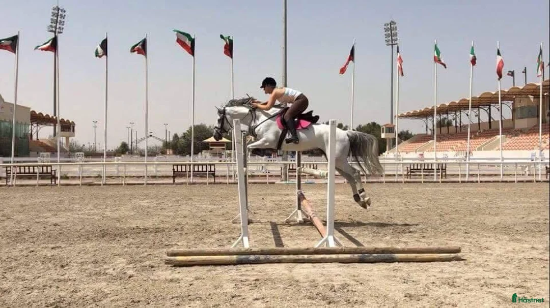 Galleribild {{count}}