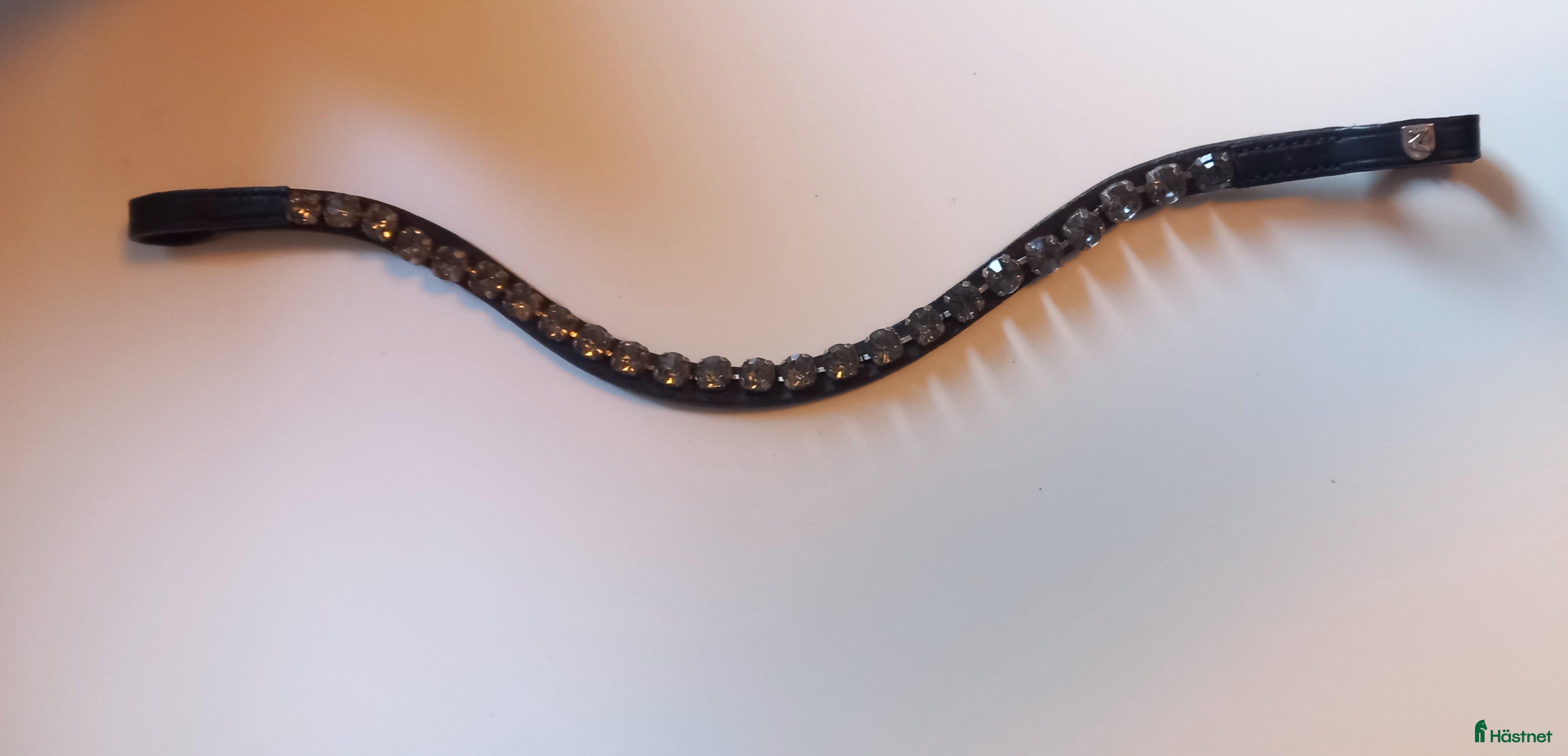 Träns hästutrustning Pannband i svart läder  i Kalmar - Annons 19