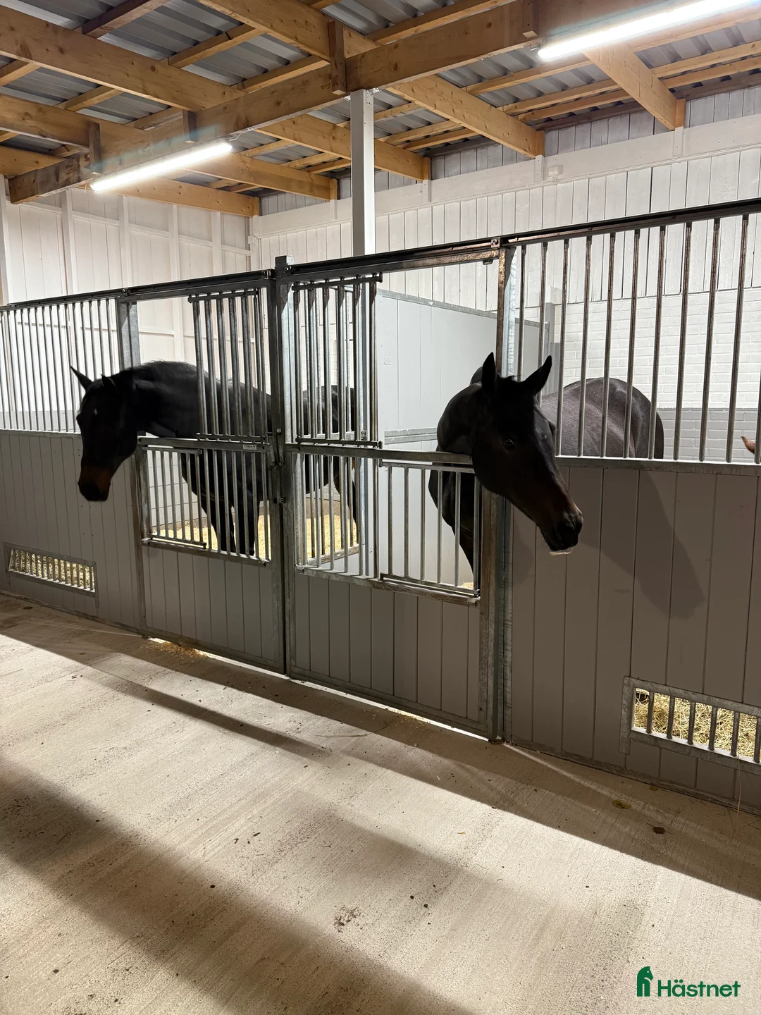  stallplats finnes: Konvalescensbox i Nässjö - Annons 3