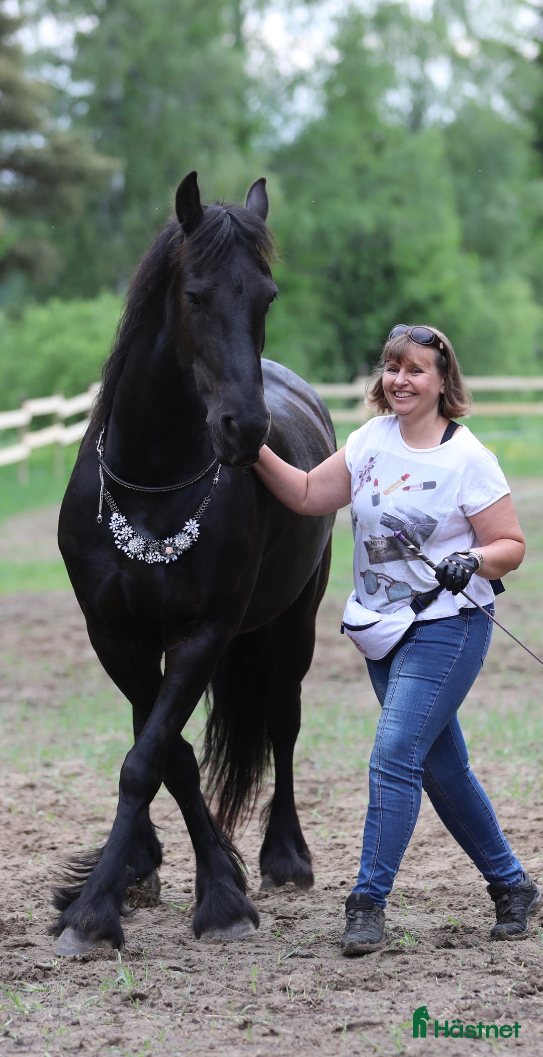 Allround hästar till salu: **Exceptional Horse for Sale** - Annons 13