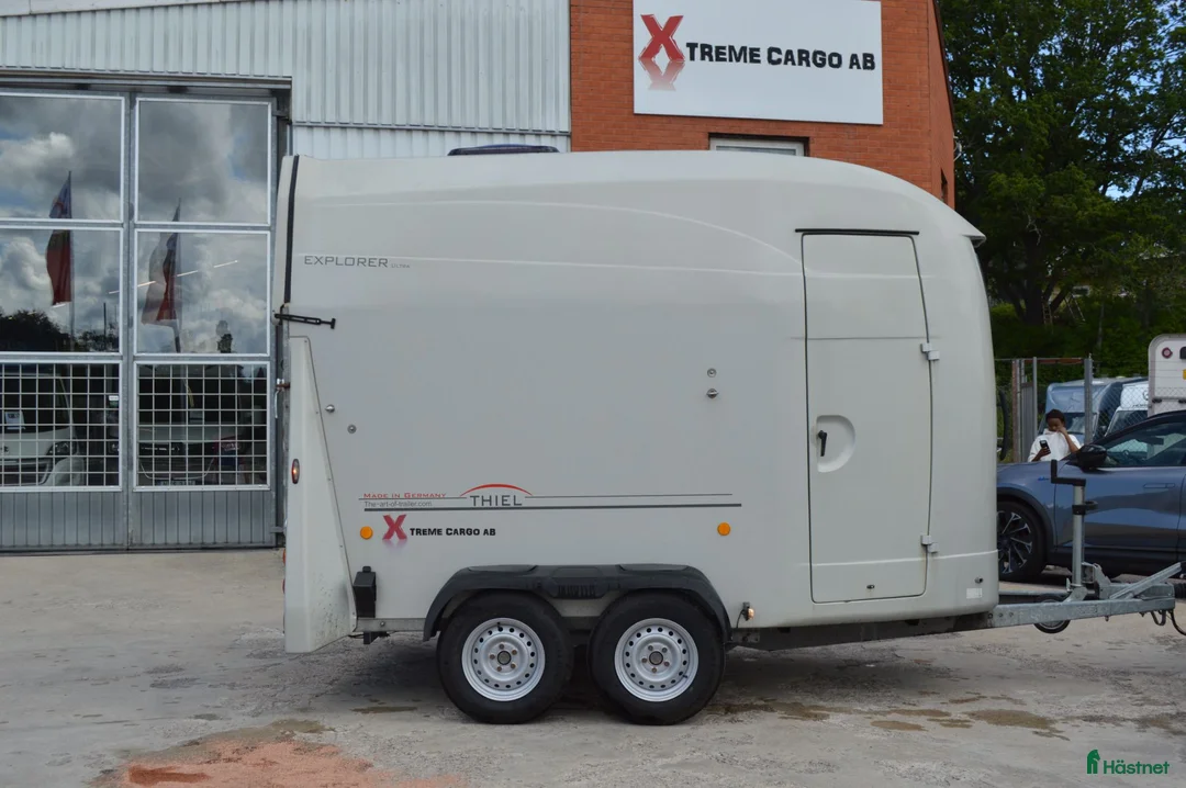 Hästtransporter  fordon & transport till salu: Thiel Explorer 2017 - Annons 8