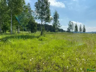 stallplats Lösdrift dräktiga ston/ungston/pensionär - Annons 7