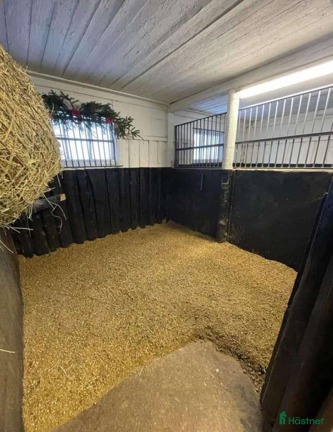  stallplats finnes: Lediga boxar i kollektivstall i Trollhättan - Annons 3