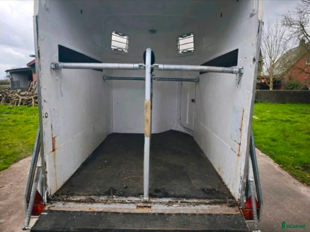 Hästtransporter  fordon & transport till salu: Böckmann  - Annons 5