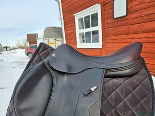 Sadlar hästutrustning Equipe Eko Go BVSA - Annons 14