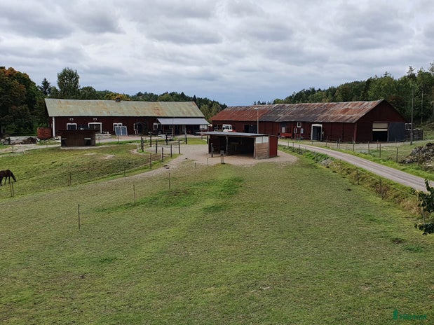 stallplats i Vagnhärad - Annons 12