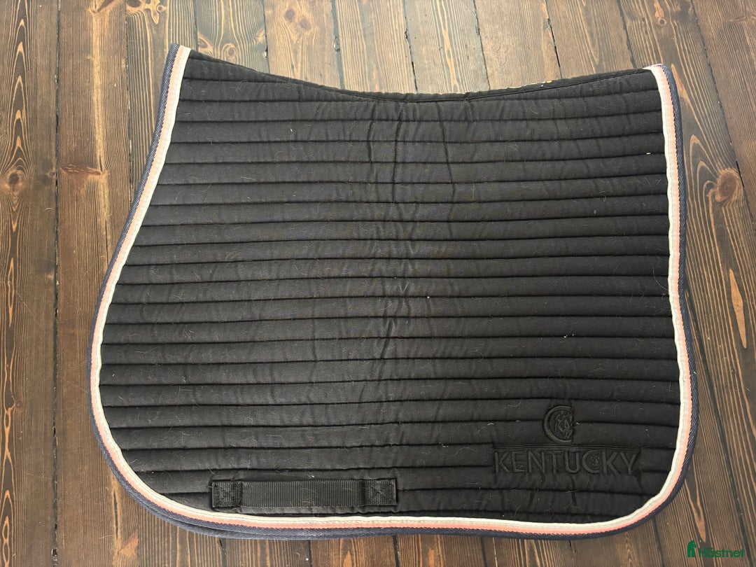 Schabrak & Vojlockar hästutrustning till salu: Kentucky schabrak full hopp i Sollentuna - Annons 1