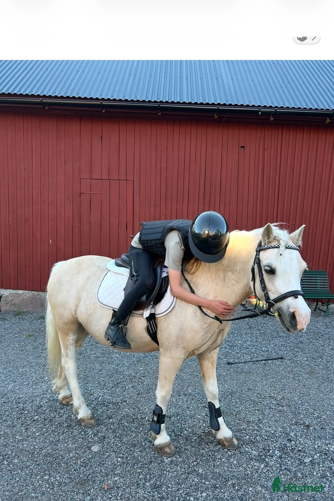  medryttarhäst finnes: Medryttare till sötaste B-ponny - Annons 2