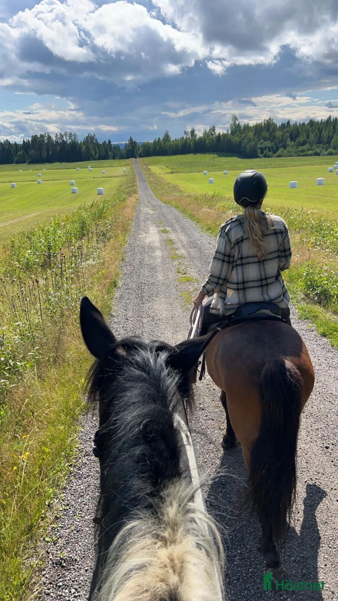  stallplats finnes: Lösdrift med skötsel - Annons 6
